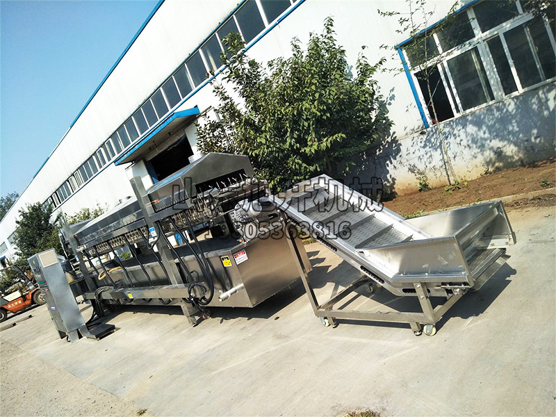 油炸機(jī)流水線